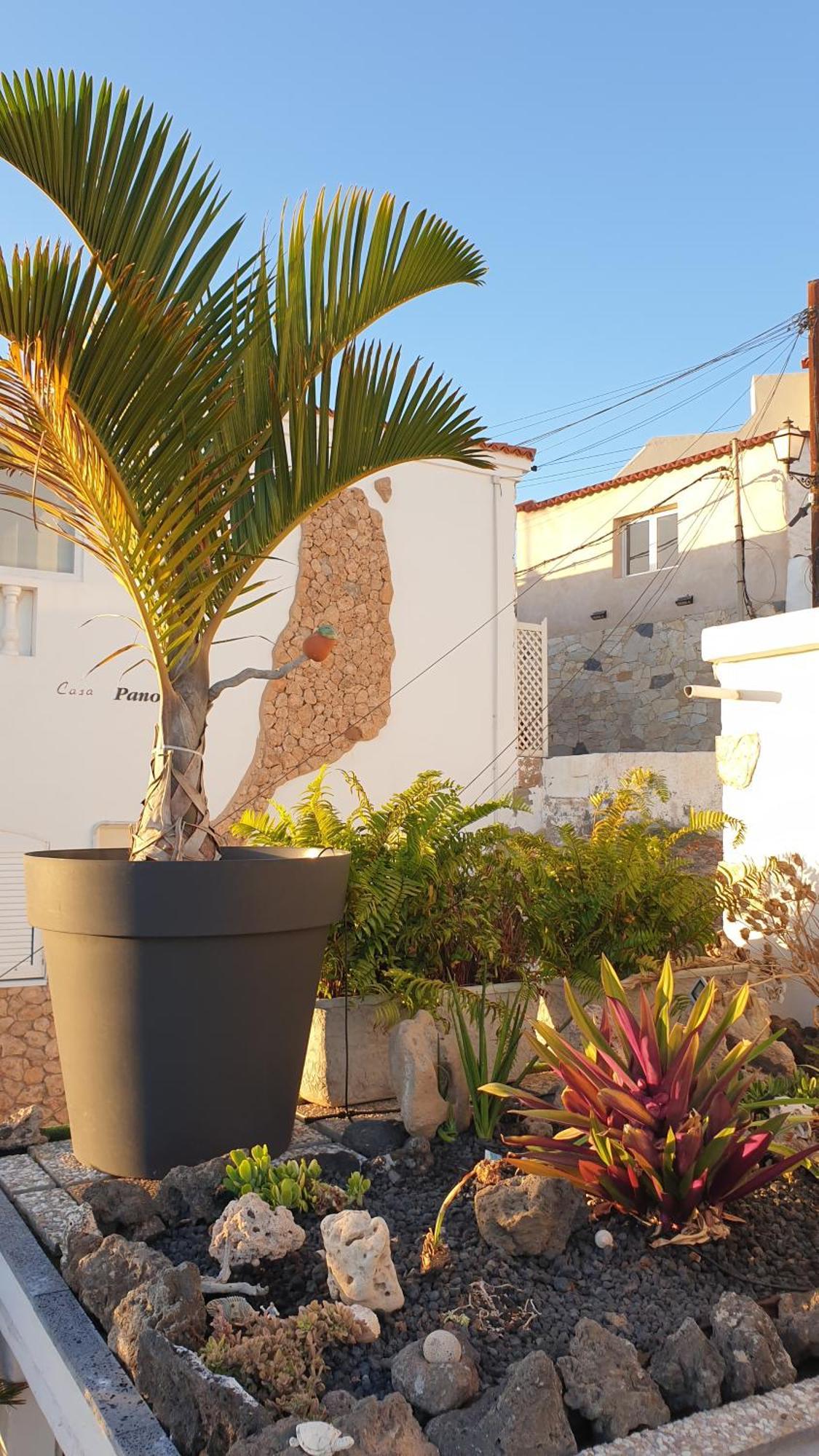 El Atico Bonito Apartamento Las Playas Exterior foto